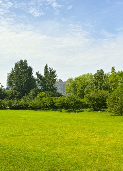 MoxiWebsite - Vertical Images (4)